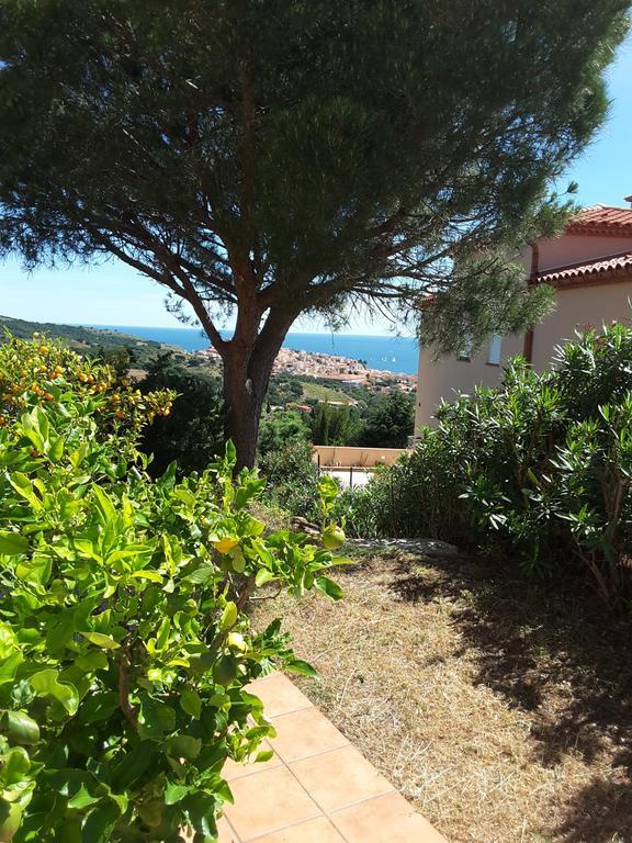 Villa Superbe Vue Sur Mer Et Sur La Montagne Jardin Terrasses Banyuls-sur-Mer Exterior foto
