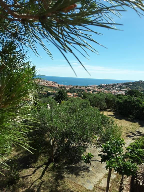 Villa Superbe Vue Sur Mer Et Sur La Montagne Jardin Terrasses Banyuls-sur-Mer Exterior foto